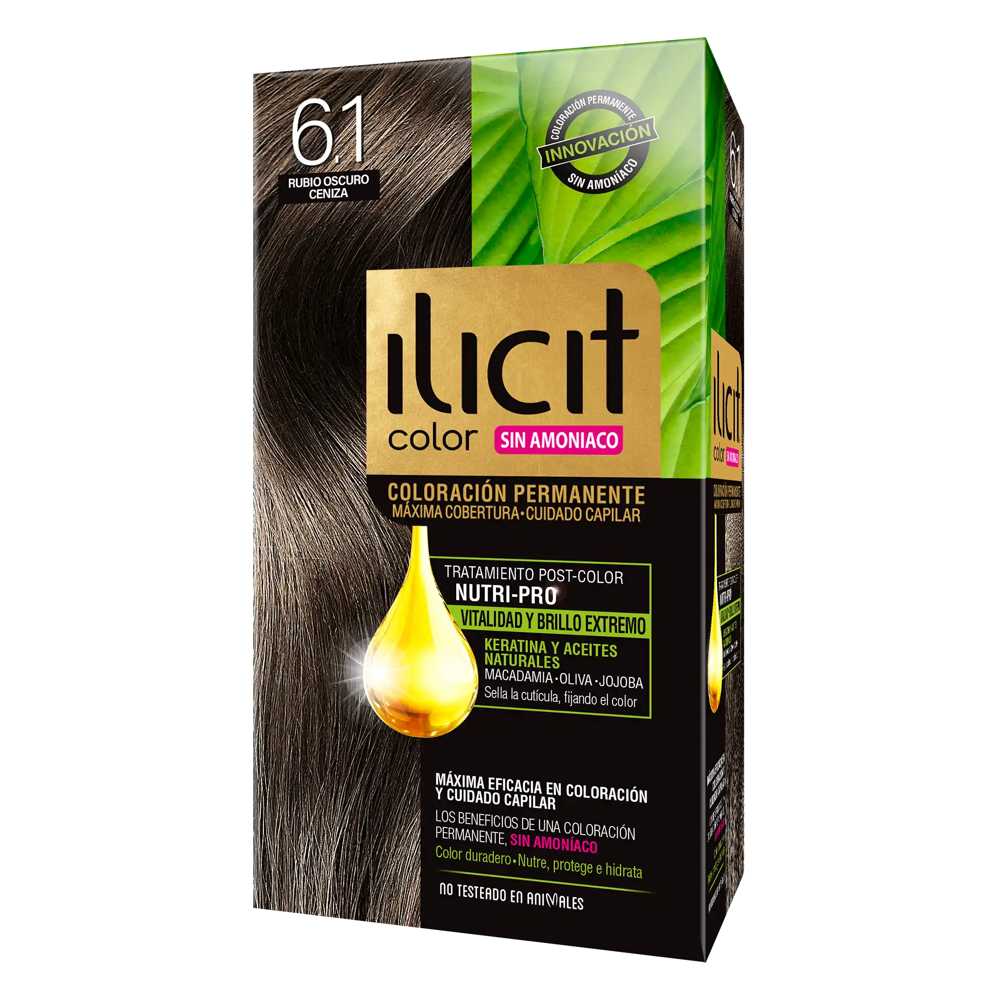tono 6.1 Rubio Oscuro Ceniza